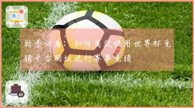 新手必看：如何高效使用世界杯竞猜平台网址进行赛事竞猜