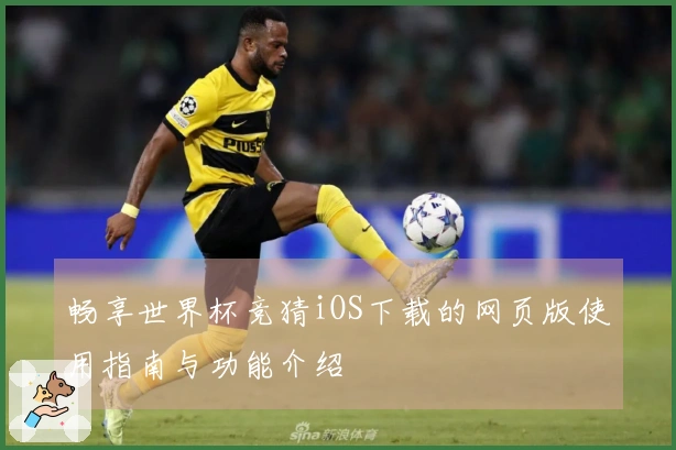 畅享世界杯竞猜iOS下载的网页版使用指南与功能介绍