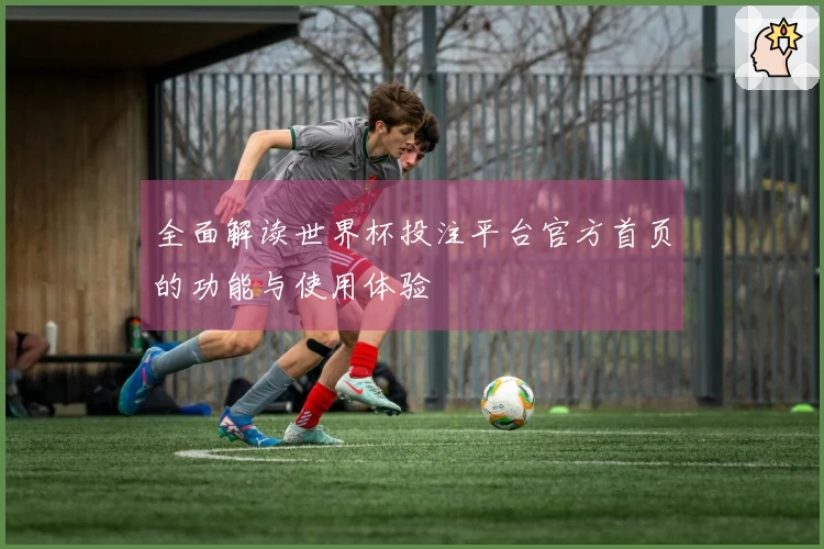 全面解读世界杯投注平台官方首页的功能与使用体验