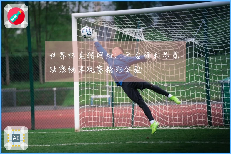 世界杯竞猜网址：平台福利尽览，助您畅享观赛精彩体验