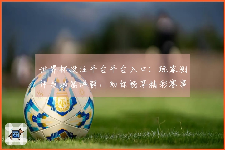 世界杯投注平台平台入口：玩家测评与功能详解，助你畅享精彩赛事直播体验