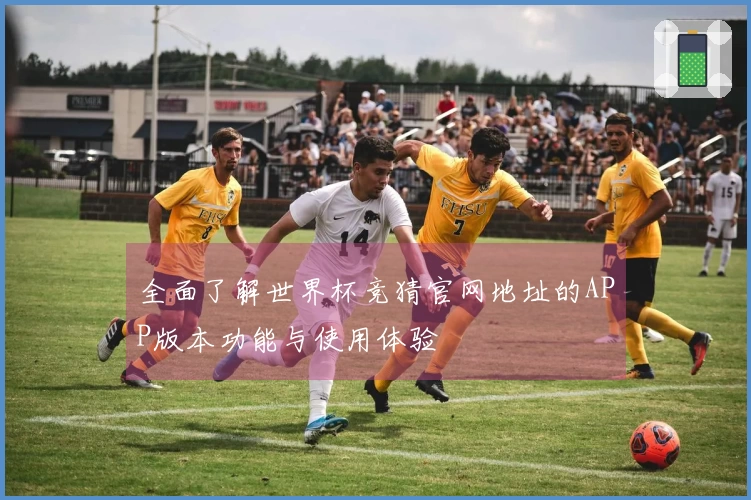 全面了解世界杯竞猜官网地址的APP版本功能与使用体验