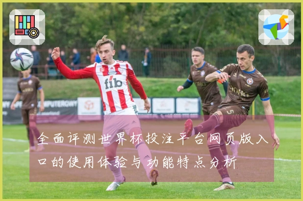 全面评测世界杯投注平台网页版入口的使用体验与功能特点分析