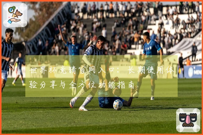 世界杯竞猜官网入口:长期使用体验分享与全方位功能指南