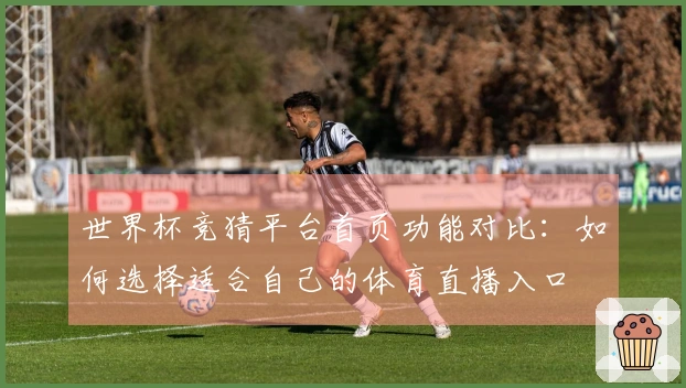 世界杯竞猜平台首页功能对比：如何选择适合自己的体育直播入口