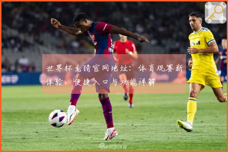 世界杯竞猜官网地址：体育观赛新体验，便捷入口与功能详解