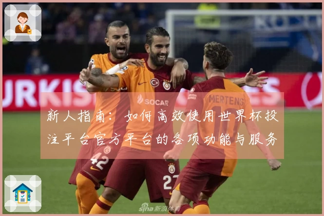 新人指南：如何高效使用世界杯投注平台官方平台的各项功能与服务