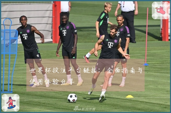 世界杯投注平台链接：全面指南与使用体验分享