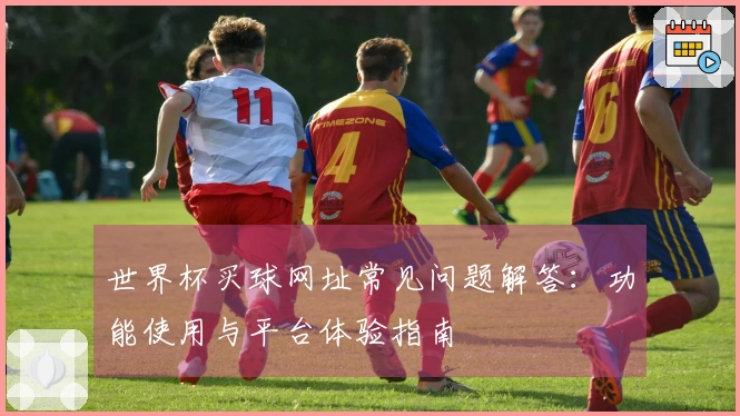 世界杯买球网址常见问题解答：功能使用与平台体验指南