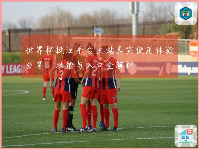 世界杯投注平台主站真实使用体验分享，功能与入口全解析