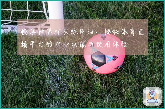 畅享世界杯买球网址，揭秘体育直播平台的核心功能与使用体验