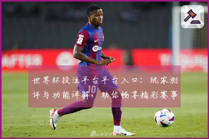 世界杯投注平台平台入口:玩家测评与功能详解,助你畅享精彩赛事直播体验