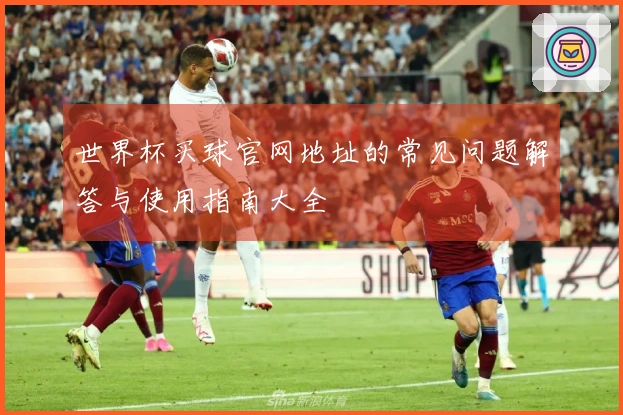 世界杯买球官网地址的常见问题解答与使用指南大全
