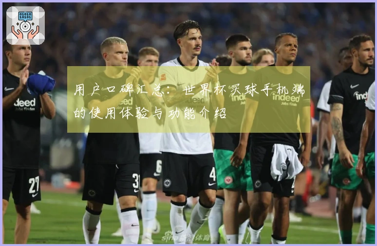 用户口碑汇总：世界杯买球手机端的使用体验与功能介绍