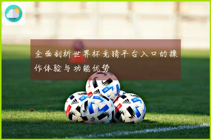 全面剖析世界杯竞猜平台入口的操作体验与功能优势